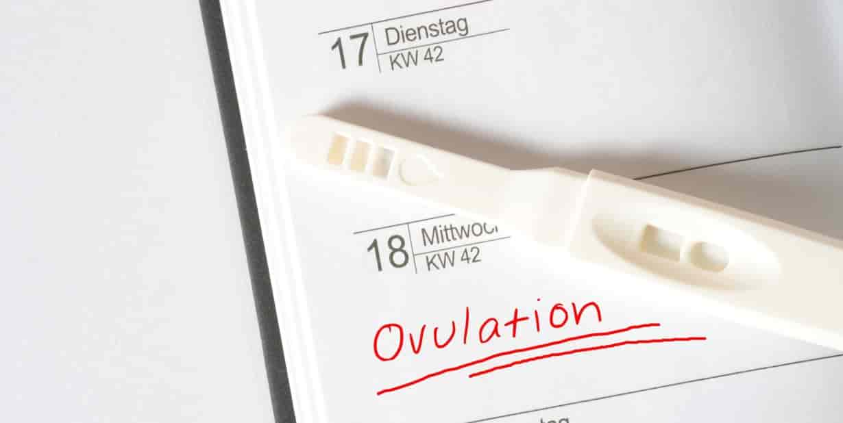 Simple Methods Of Detecting Upcoming Ovulation